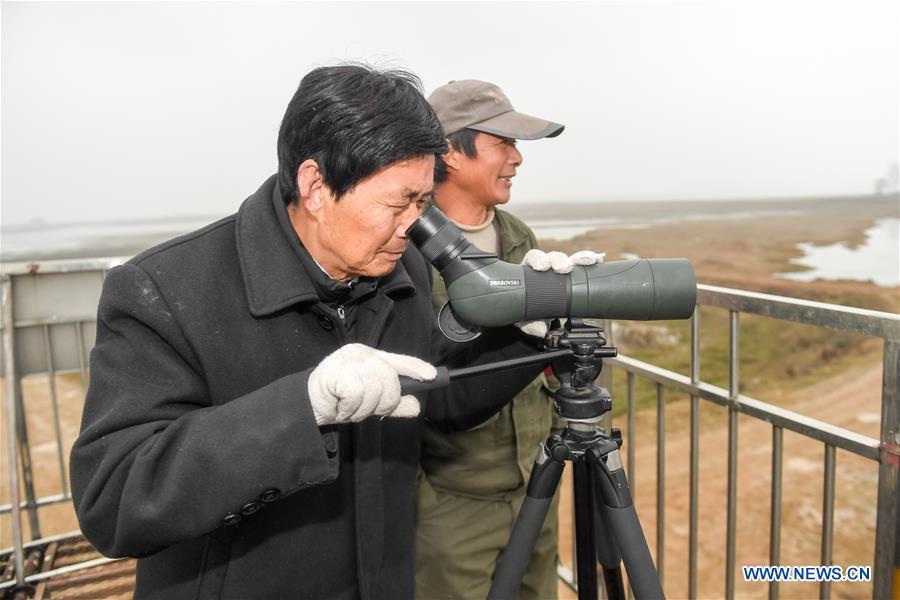 Wang Sanyi observes migrant birds in Caizi Lake wetland, Anqing, in east China\'s Anhui Province, Dec. 22, 2018. Wang Sanyi, 69, founded the Caizi Lake wetland ecological protection association with more than 300 members in 2010. Some villagers who used to be hunters now join the association, becoming volunteers to protect migrant birds. With the help of the association, the ecological environment of Caizi Lake wetland has been improved in recent years. Thanks to the efforts of protection, more and more migrant birds are seen here overwintering. \