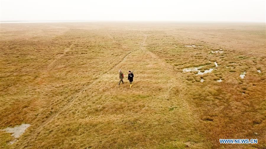 Aerial photo taken on Dec. 22, 2018 shows Wang Sanyi (R) patroling for migrant-bird protection in Caizi Lake wetland, Anqing, in east China\'s Anhui Province. Wang Sanyi, 69, founded the Caizi Lake wetland ecological protection association with more than 300 members in 2010. Some villagers who used to be hunters now join the association, becoming volunteers to protect migrant birds. With the help of the association, the ecological environment of Caizi Lake wetland has been improved in recent years. Thanks to the efforts of protection, more and more migrant birds are seen here overwintering. \