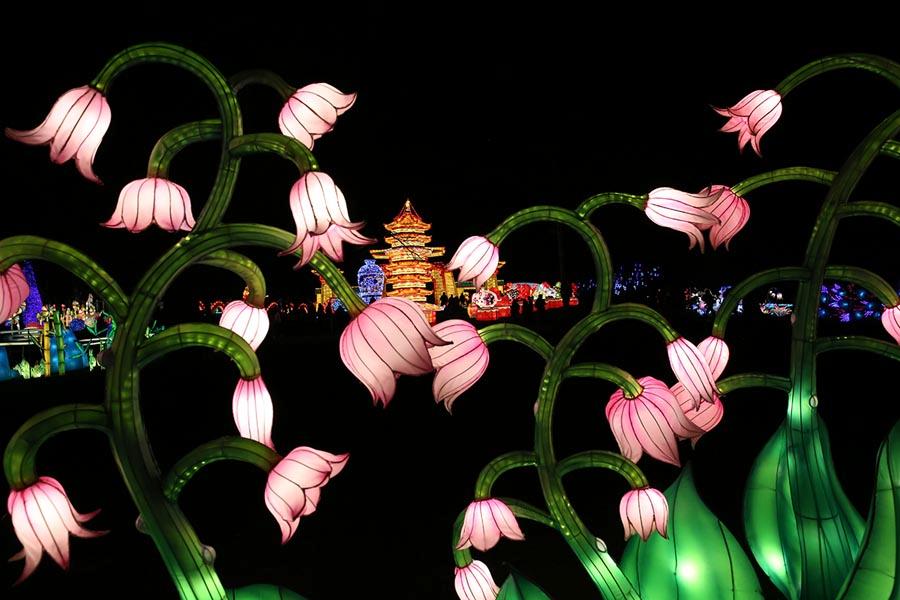 LED lanterns of lotuses are featured at the festival, together with some 40 LED installations spanning 7 acres of Snug Harbor Cultural Center & Botanical Garden, including models of Chinese dragons, porcelain and pandas. They were accompanied by live performances of traditional Chinese dance and art. (Photo/Chinaculture.org)