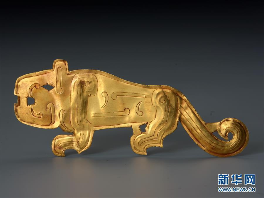 A golden tiger, unearthed in the Liujaiwa ruins in Chengcheng County, Shaanxi Province. A research team from the Shaanxi Provincial Institute of Archaeology announced excavations that had taken place over two years showed the Liujiawa ruins belonged to the remains of a city wall and cemetery from the late Rui state, a Chinese vassal state during the Western Zhou dynasty (1046-771 BC). (Photo provided by Shaanxi Provincial Institute of Archaeology)