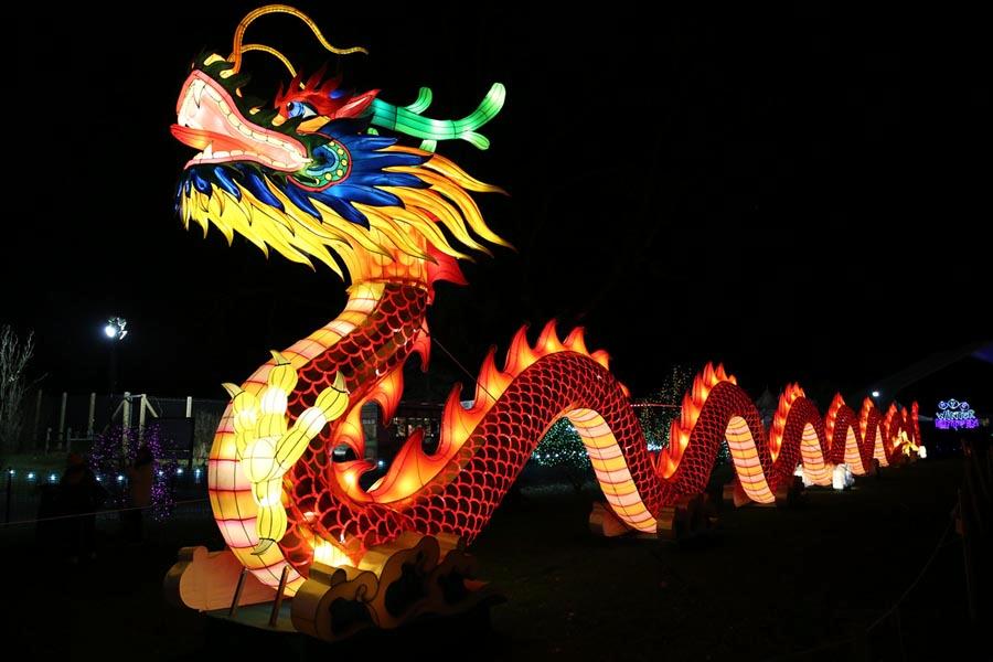 dragon-shaped LED installation lights up the Snug Harbor Cultural Center & Botanical Garden in New York, Jan. 4, 2019.  (Photo/Chinaculture.org)