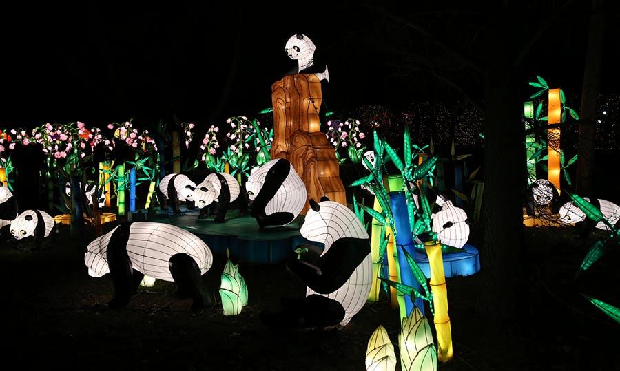 LED installations of Chinese porcelain and art are pictured at the first Winter Lantern Festival in New York on Nov. 28, 2018.  (Photo/Chinaculture.org)
