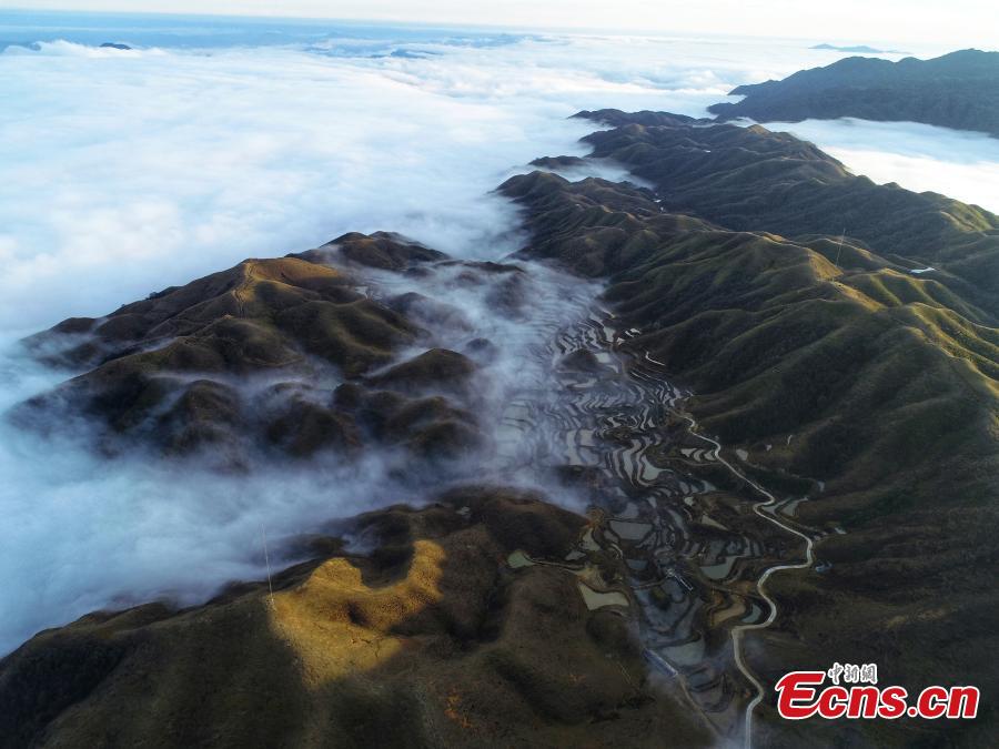 A sea of clouds surrounds Motianling, an approximately 2,000-meter-high peak in Rongshui Miao Autonomous County in Liuzhu City, South China\'s Guangxi Zhuang Autonomous Region, Jan. 5, 2019. (Photo: China News Service/Wang Yizhao)