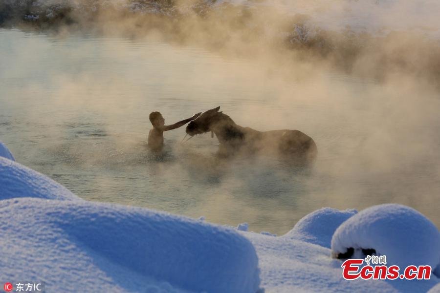 A horse bathing in a thermal spring that is around 40 degrees Celsius in the village of Budakli in Guroymak district, Bitlis, Turkey, Jan. 11, 2019. Despite the freezing cold, villagers bring their horses and water buffalos to thermal springs to wash and care them. (Photo/IC)