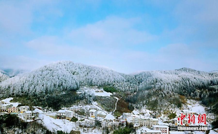 A view of a snow-covered Changlinggang forest in Jianshi County, Central China’s Hubei Province, Jan. 21, 2019. Plantation of the forest at an altitude over 1,500 meters started in 1957. Today it is a major Japanese larch production base in China and a tourist attraction in all seasons. (Photo: China News Service/Zhang Shiping)
