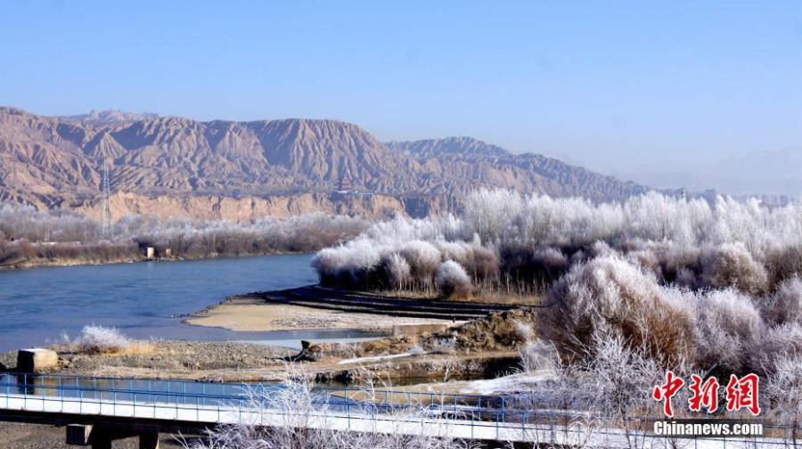 A hoar frost transforms the landscape along the bank of the Yellow River in Guide County, Northwest China\'s Qinghai Province, Jan. 21, 2019. Local temperatures dropped to minus 14.7 degrees. (Photo: China News Service/Wei Tao)