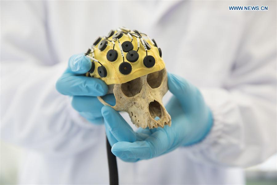 Researcher Zhang Hongjun discusses the experimental design with his team members at a laboratory of the Institute of Neuroscience of Chinese Academy of Sciences in Shanghai, east China, Jan. 22, 2019. China has cloned five monkeys from a gene-edited macaque with circadian rhythm disorders, the first time multiple monkeys have been cloned from a gene-edited monkey for biomedical research. Scientists made the announcement Thursday, with two articles published in National Science Review, a top Chinese journal in English. The cloned monkeys were born in Shanghai at Institute of Neuroscience of Chinese Academy of Sciences. (Xinhua/Jin Liwang)