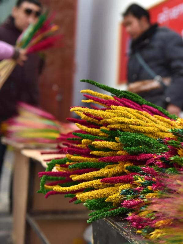 Colorful wheat decorations seen on Jan. 22, 2019. (Photo/Xinhua)