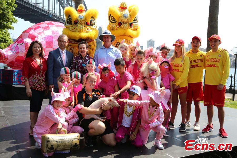 A preview of the 2019 Lunar New Year festivities in Sydney, Australia, Jan. 29, 2019. The 10-day festival which begins on Friday is the largest of its kind outside of Asia and according to authorities Sydneysiders will be treated to cultural delights centering around this year\'s zodiac sign, the pig. This year\'s events will include the largest dragon boat races in the southern hemisphere, culinary events, workshops, lion dancing and live cultural performances. (Photo: China News Service/Tao Shelan)