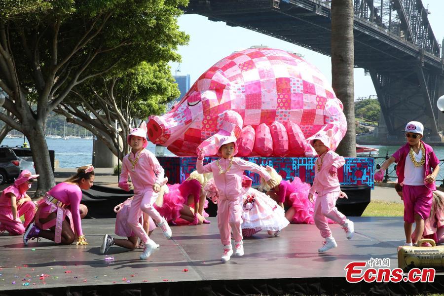 A preview of the 2019 Lunar New Year festivities in Sydney, Australia, Jan. 29, 2019. The 10-day festival which begins on Friday is the largest of its kind outside of Asia and according to authorities Sydneysiders will be treated to cultural delights centering around this year\'s zodiac sign, the pig. This year\'s events will include the largest dragon boat races in the southern hemisphere, culinary events, workshops, lion dancing and live cultural performances. (Photo: China News Service/Tao Shelan)
