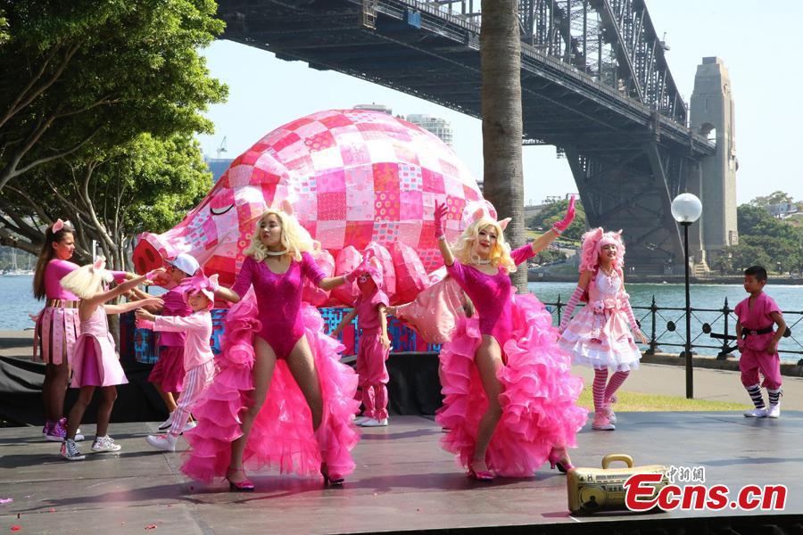 A preview of the 2019 Lunar New Year festivities in Sydney, Australia, Jan. 29, 2019. The 10-day festival which begins on Friday is the largest of its kind outside of Asia and according to authorities Sydneysiders will be treated to cultural delights centering around this year\'s zodiac sign, the pig. This year\'s events will include the largest dragon boat races in the southern hemisphere, culinary events, workshops, lion dancing and live cultural performances. (Photo: China News Service/Tao Shelan)