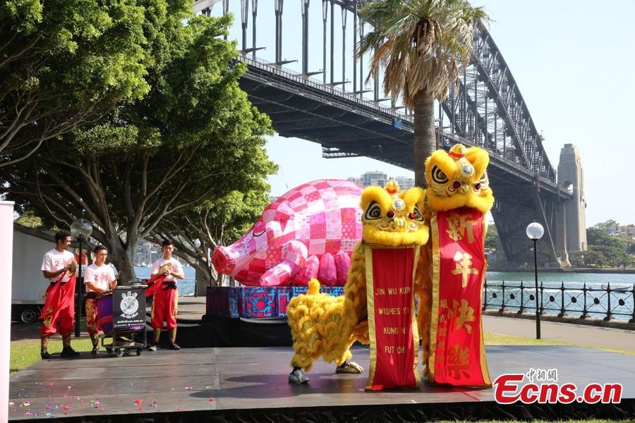A preview of the 2019 Lunar New Year festivities in Sydney, Australia, Jan. 29, 2019. The 10-day festival which begins on Friday is the largest of its kind outside of Asia and according to authorities Sydneysiders will be treated to cultural delights centering around this year\'s zodiac sign, the pig. This year\'s events will include the largest dragon boat races in the southern hemisphere, culinary events, workshops, lion dancing and live cultural performances. (Photo: China News Service/Tao Shelan)
