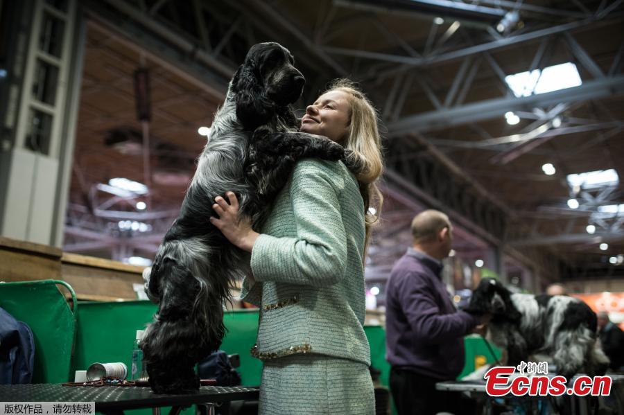 A woman cuddles her Cocker Spaniel during the first day of the Crufts Dog Show in Birmingham, Britain, March 7, 2019. (Photo/Agencies)
