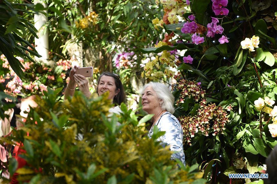 Visitors take selfies during the Orchid Show at New York Botanical Garden (NYBG) in New York, the United States, March 24, 2019. The Orchid Show themed Singapore showcases treasures from NYBG\'s exquisite orchid collection as well as Singapore\'s achievements in orchid cultivation, research and conservation. (Xinhua/Han Fang)