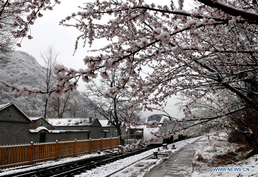 A train runs on the railway in Yanqing District in Beijing, capital of China, April 9, 2019. (Xinhua/Jia Deyong)