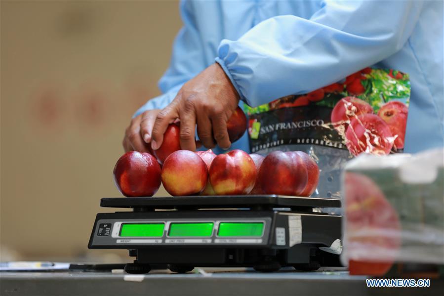 A worker weighs nectarines in a factory of Agricola Garces in Mostazal, Chile, on Jan. 19, 2018. Food of a particular place is an important symbol of local geographic and cultural characteristics. Food carries history and tradition, leads the tide of trade, strengthens diplomatic relations, disseminates and promotes culture. Food has been serving as connections between people around the world. In ancient times, food such as grapes, pomegranates, walnuts, coriander, cucumbers and sesame seeds were introduced to China along the Silk Road. Nowadays, thanks to the Belt and Road Initiative, red wine, coffee, dried fruits, meat, seafood, and dairy products from foreign countries enter the homes of ordinary people, turning daily meals into feasts with exotic cuisines. (Xinhua/Xu Rui)
