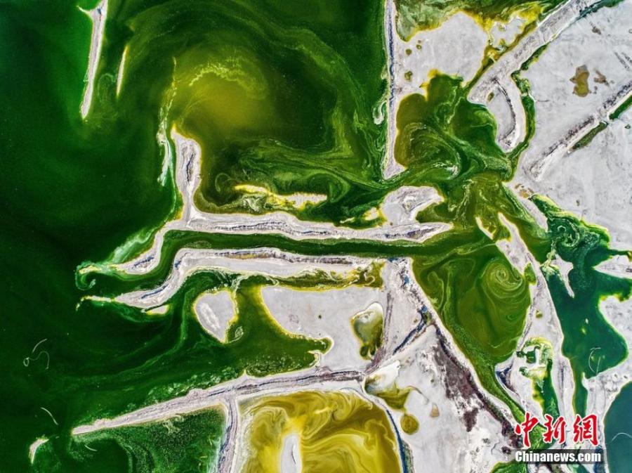 Aerial photo shows the colorful Salt Lake in Yuncheng City, north China\'s Shanxi Province. The lake has different colors as the water density changes. (Photo/IC)