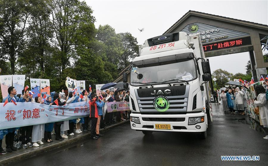 People bid farewell to a pair of giant pandas at the Bifengxia base of the China Conservation and Research Center for the Giant Panda in Ya\'an, southwest China\'s Sichuan Province, April 29, 2019. Chinese researchers held a send-off ceremony for a pair of giant pandas who are to depart for Moscow on Monday for a 15-year collaborative research. Ru Yi, the male panda born in 2016, and Ding Ding, the female panda born in 2017, are scheduled to board a flight at 1:45 p.m. in Chengdu and arrive in Moscow at 10:00 p.m. Beijing Time the same day, the panda research base in southwest China\'s Sichuan Province said. (Xinhua/Xue Yubin)