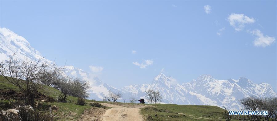 Photo taken on April 28, 2019 shows a woman working at Naicun Village in Gyirong County of Xigaze City, southwest China\'s Tibet Autonomous Region. (Xinhua/Jigme Dorje)