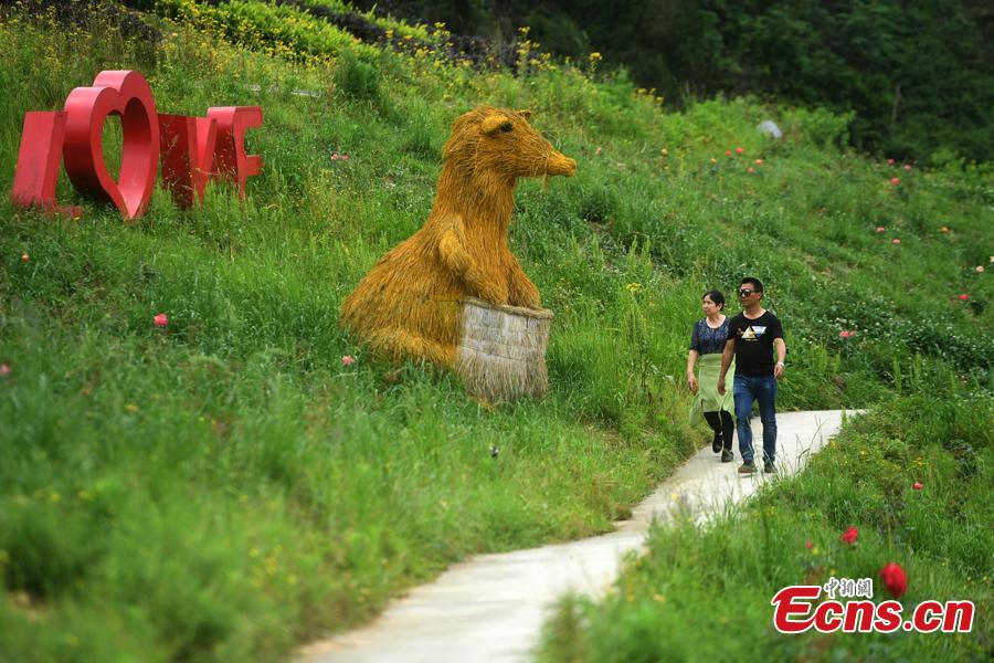 Straw-made creations including an elephant, a kangaroo, a harvester and a tractor in the Huatian Xigu scenic area, known for its rural charms, in Chongqing, April 28, 2019. The eye-catching creations are a particular draw for tourists. (Photo: China News Service/Chen Chao)