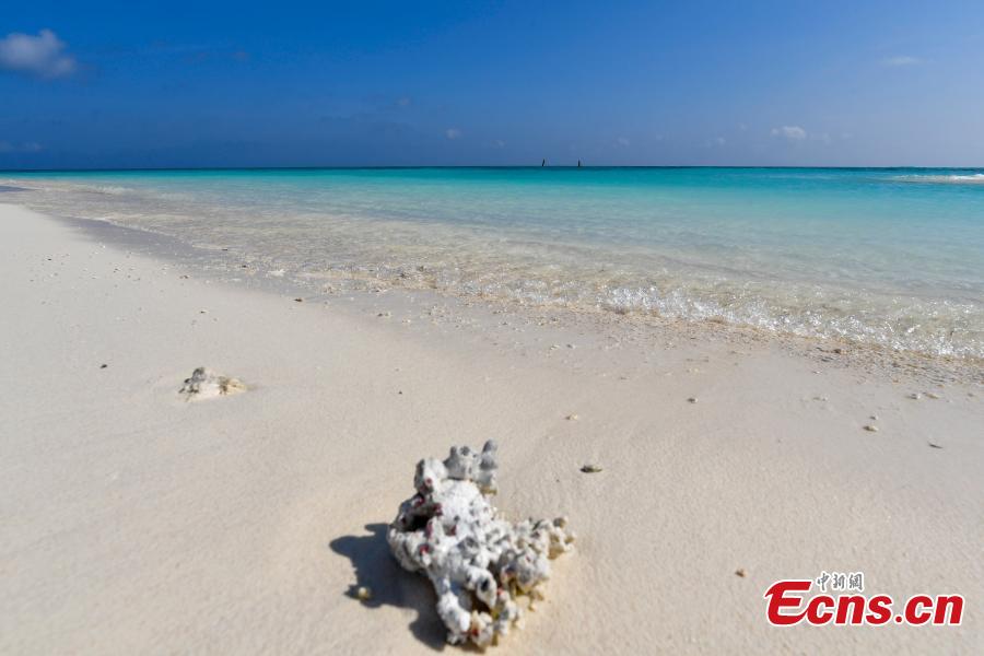The photo shows the beach of Quanfu Island offering clean sand and water. Being one of the three islands of Xisha islands that opens to tourists, Quanfu island is an uninhabited island which covers an area of 0.02 square kilometers. (Photo: China News Service/ Luo Yunfei)