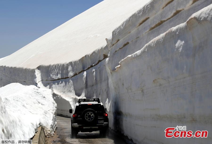 A vehicle drives on a road, surrounded by 10m walls of snow, on May 28, 2019, in the northern Lebanese village of Ainata al-Arz, 1,620 meters above sea level.(Photo/Agencies)