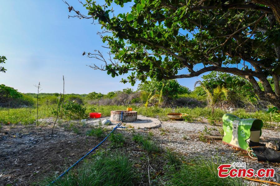 A freshwater well on Ganquan Island in the Xisha Yongle Islands group in South China\'s Hainan Province, May 22, 2019. (Photo: China News Service/Luo Yunfei)