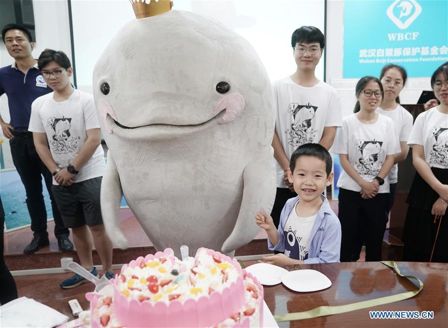 A birthday party is held for a little Yangtze finless porpoise at the Institute of Hydrobiology under Chinese Academy of Sciences in Wuhan, central China\'s Hubei Province, June 2, 2019. The 1-year-old male finless porpoise, reproduced via an artificial breeding program, celebrated its birthday on Sunday. Rarer than China\'s giant panda, the finless porpoise is a mammal similar to the dolphin, and now teeters on the brink of extinction, with a population of around 1,000. (Xinhua/Cheng Min)