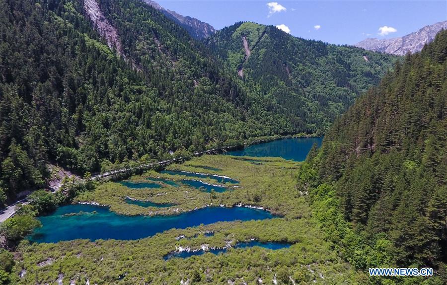 Aerial photo shows the scenery of the Jiuzhaigou National Park in southwest China\'s Sichuan Province, June 5, 2019. Due to damages caused by the magnitude-7.0 earthquake that hit here on Aug. 8, 2017, the park has been temporarily closed since July 2018 for renovation. (Xinhua/Xue Yubin)
