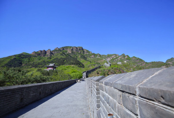 (Photo by Wang Weiliang/provided to chinadaily.com.cn) (Photo by Wang Weiliang/provided to chinadaily.com.cn)