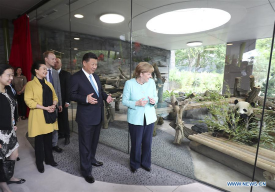 Chinese President Xi Jinping (2nd R), his wife Peng Liyuan, and German Chancellor Angela Merkel (1st R) visit the Panda Garden at the Berlin Zoo in Berlin, capital of Germany, July 5, 2017. (Xinhua/Ma Zhancheng) Chinese President Xi Jinping (2nd R), his wife Peng Liyuan, and German Chancellor Angela Merkel (1st R) visit the Panda Garden at the Berlin Zoo in Berlin, capital of Germany, July 5, 2017. (Xinhua/Ma Zhancheng)
